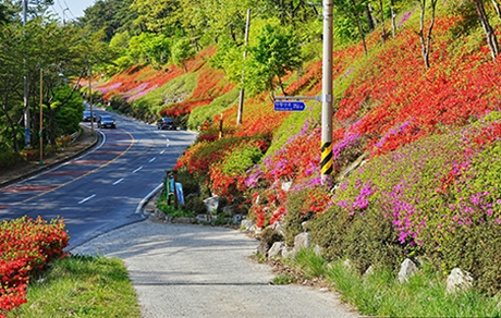 최상주군립미술관