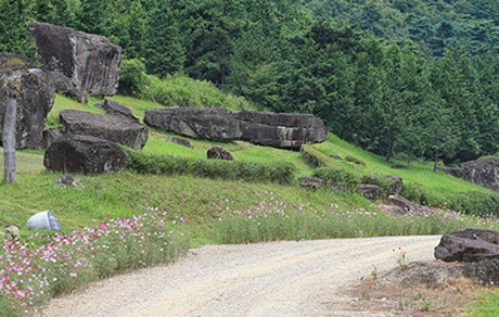 고인돌 유적지(도곡)